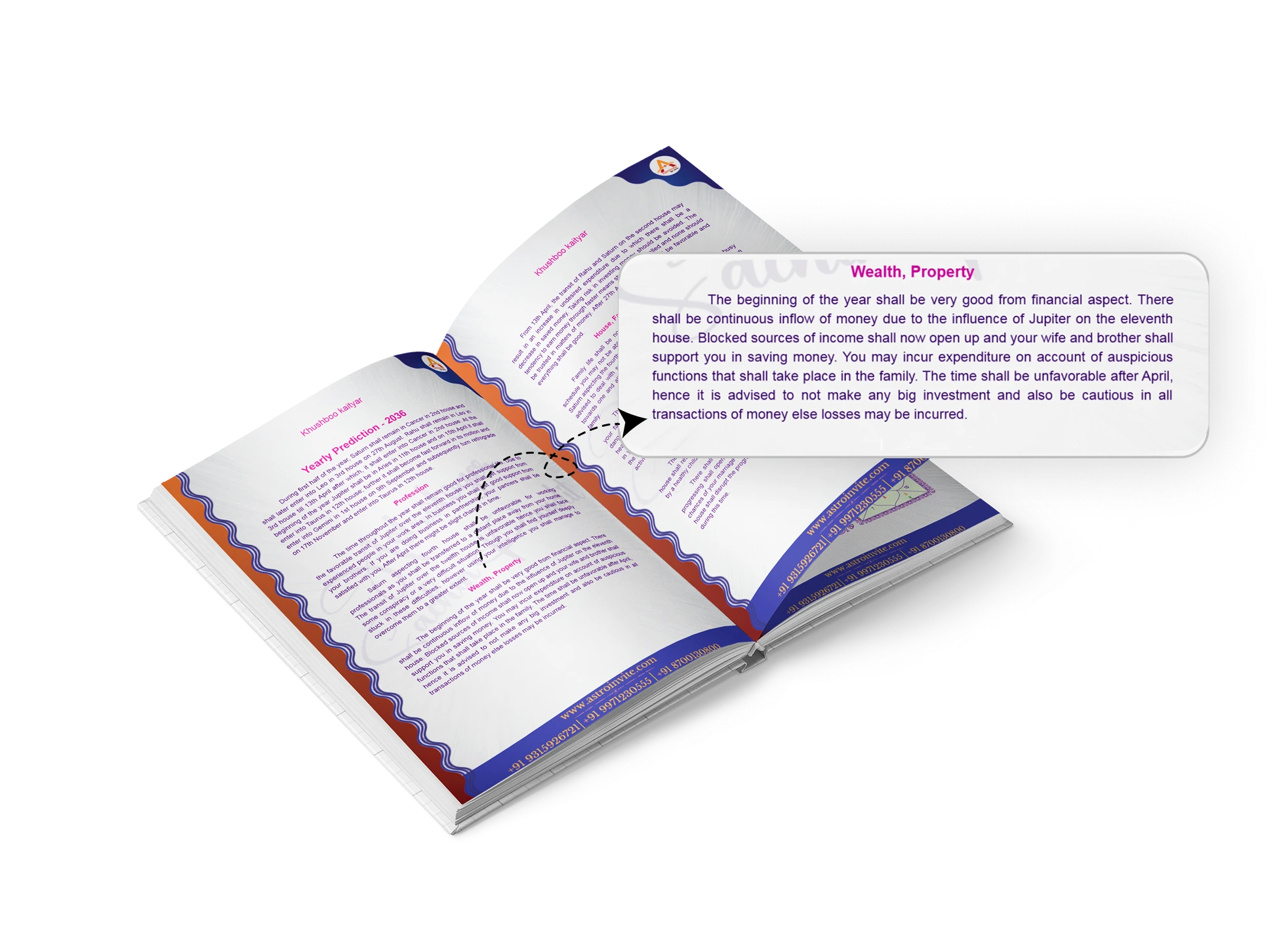 Wealth & Financial Stability - BrahmVid pages